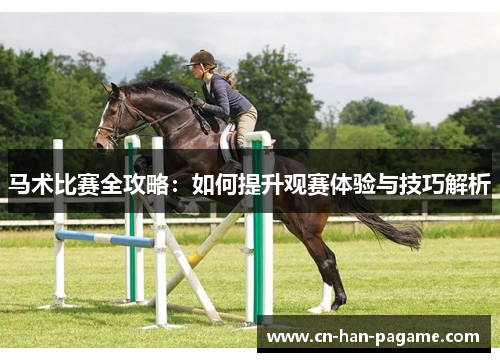 马术比赛全攻略:如何提升观赛体验与技巧解析 马术比赛全攻略:如何提升观赛体验与技巧解析
